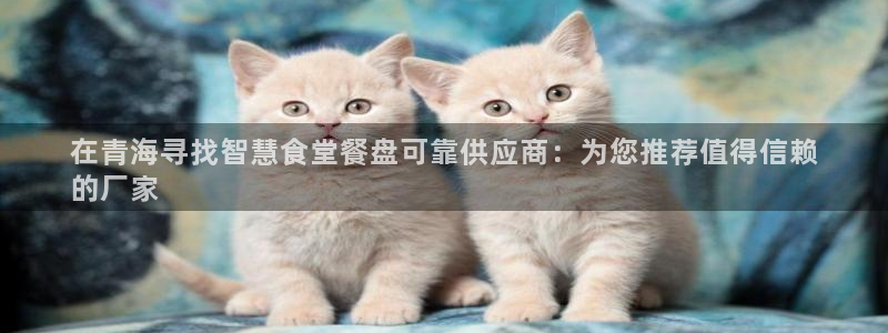 尊龙凯时美金能提取吗