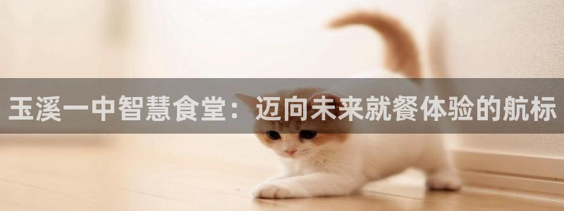 尊龙/人生就是博