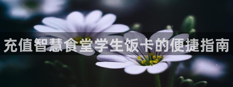 尊龙凯时网站赌愽做假吗：充值智慧食堂学生饭卡的便捷指南
