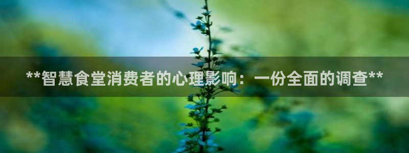 尊龙1003尊龙 - 百度：**智慧食堂消费者的心理影响：一