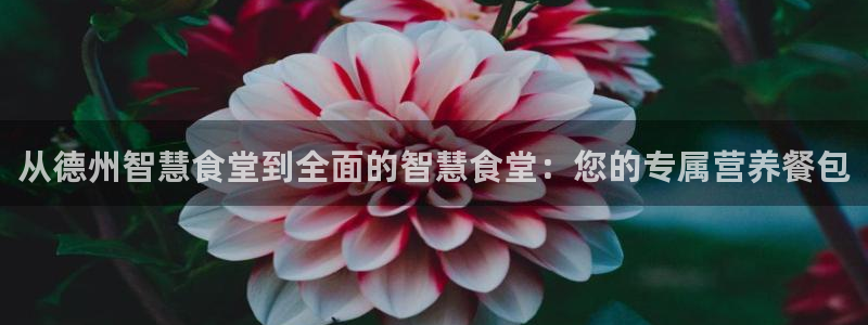 尊龙手机客户端app