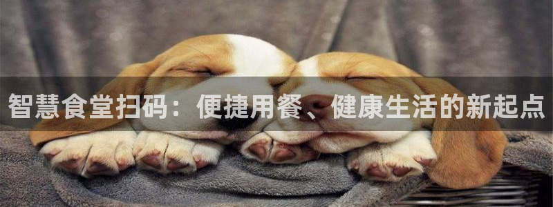 凯时a88