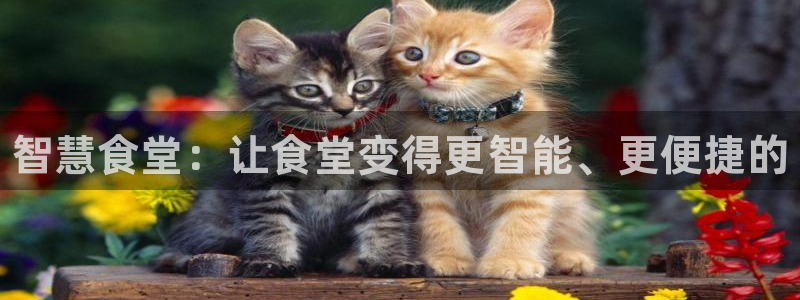 尊龙凯时下载官方正版