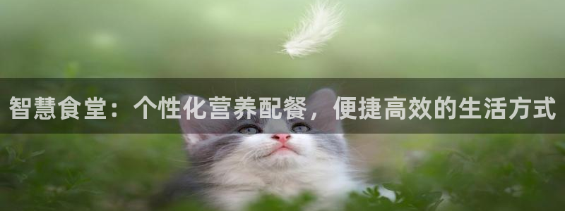 尊龙新版登录网址下载