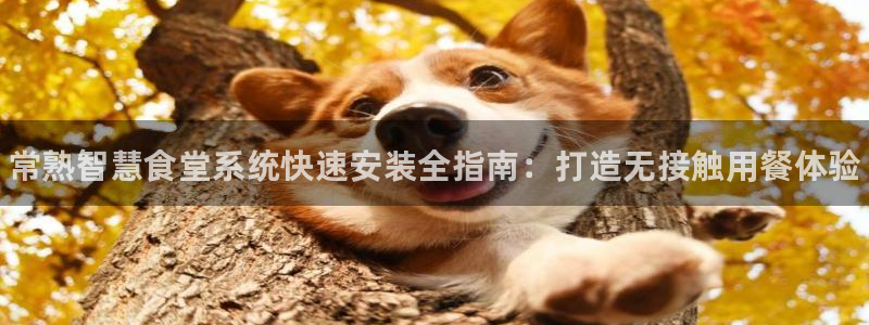 尊龙凯时平台还是万搏好：常熟智慧食堂系统快速安装全指南：打造