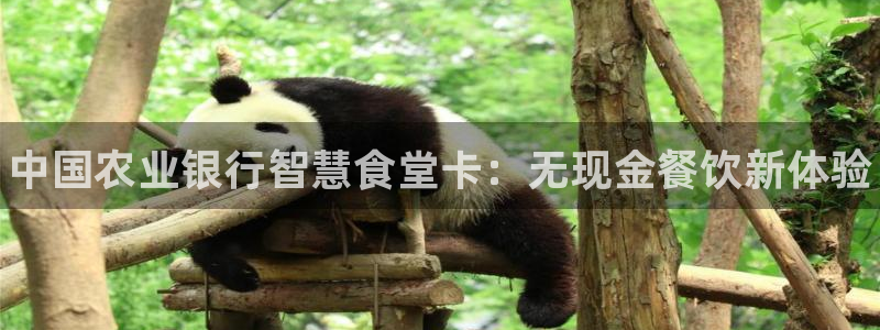 尊龙d88用现推选ag发财网