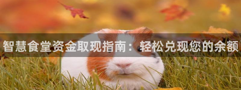 尊龙手机官方客户端下载：智慧食堂资金取现指南：轻松兑现您的余